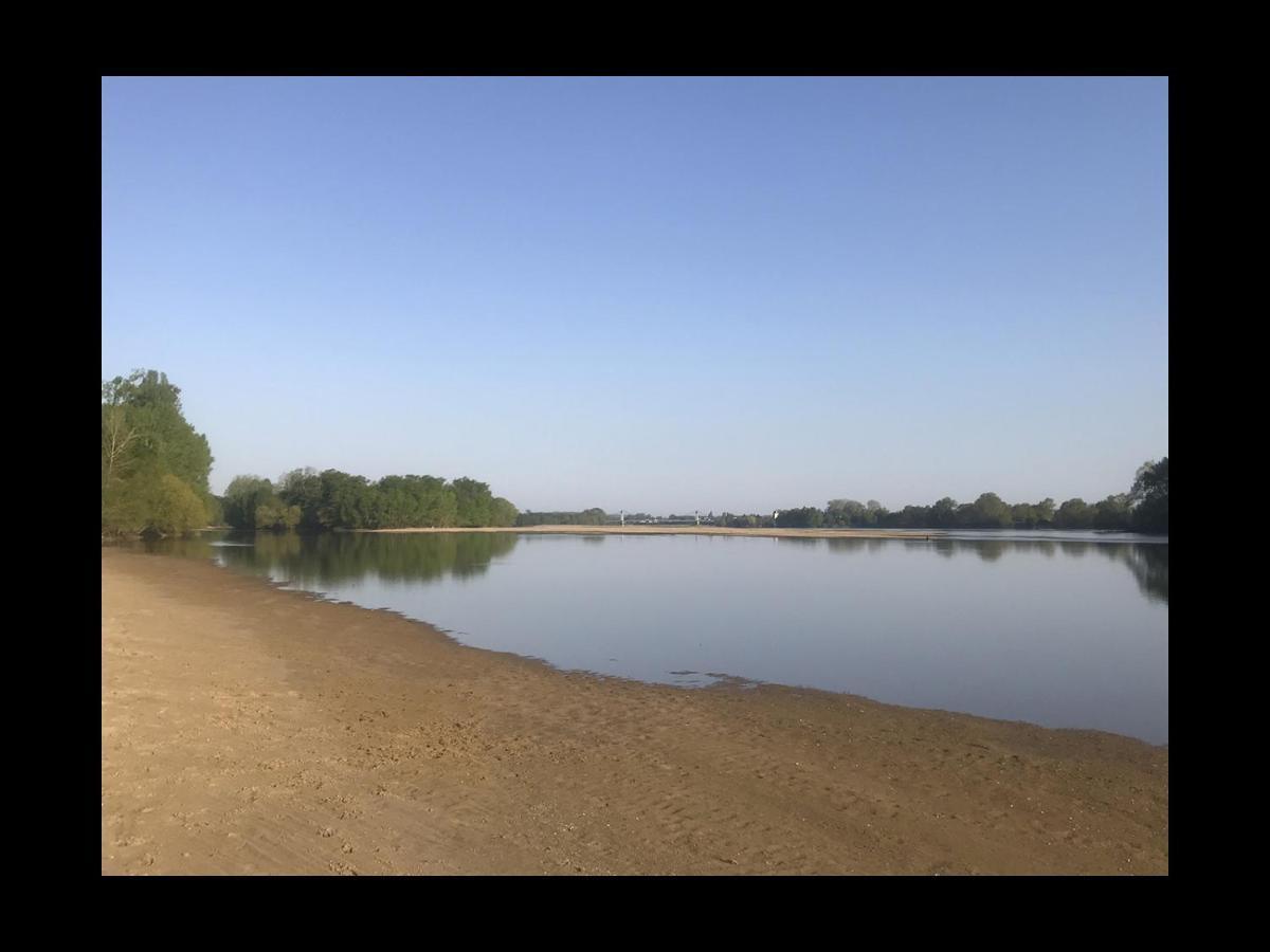 Une Nuit Sur Loire Treves-Cunault Dış mekan fotoğraf